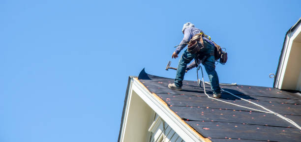 Best Roof Gutter Cleaning  in West Athens, CA